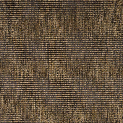 forest-boucle67-66-131