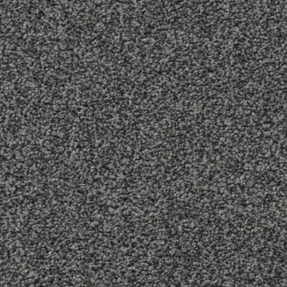 frisea_5w13