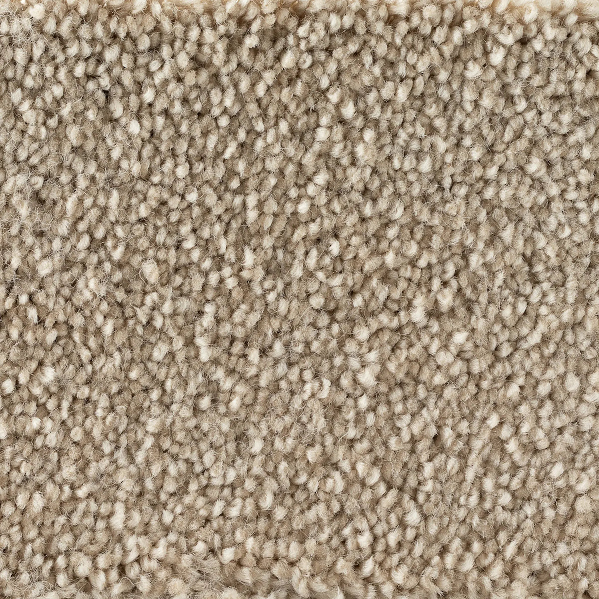 golvabia-cleo-almond