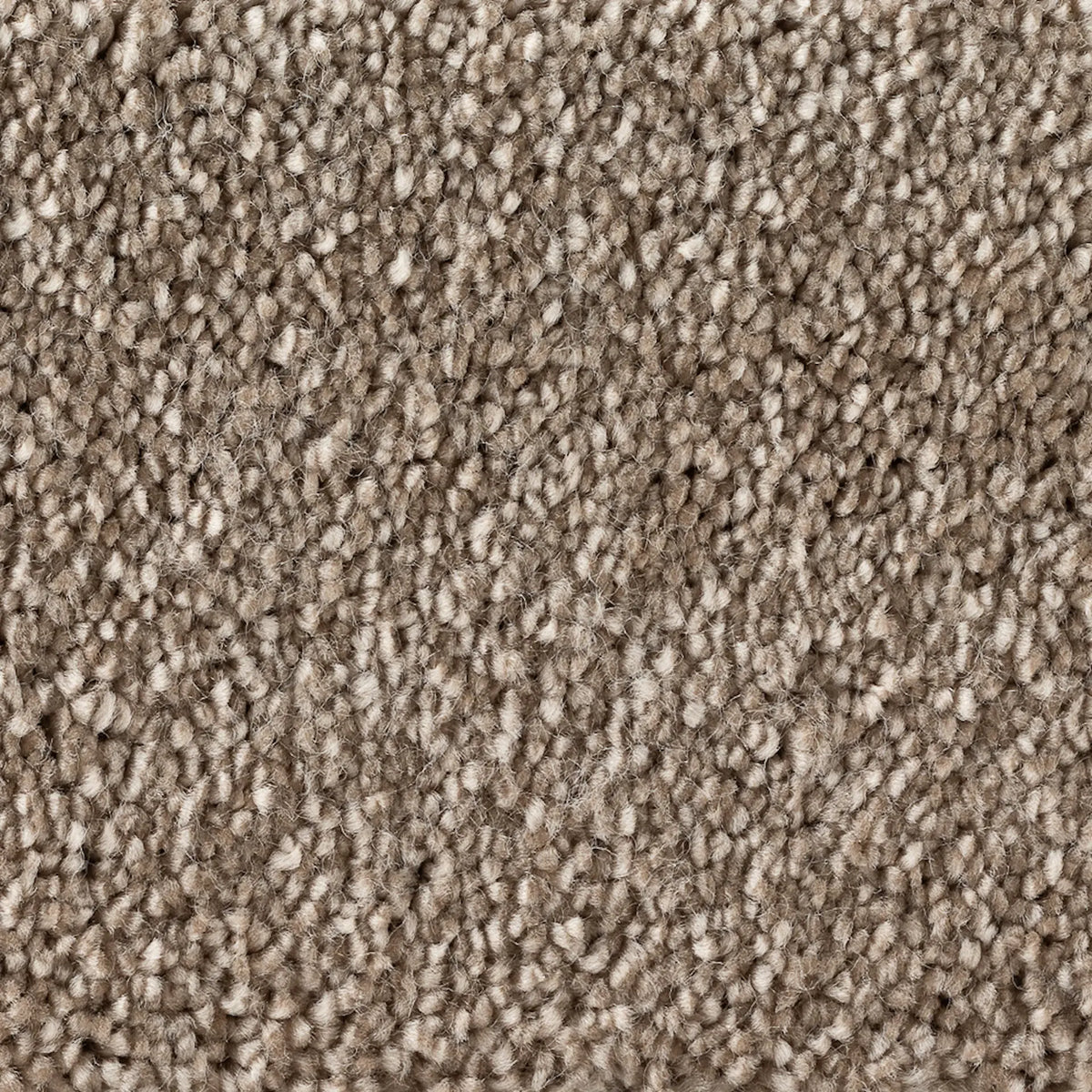 golvabia-cleo-sand