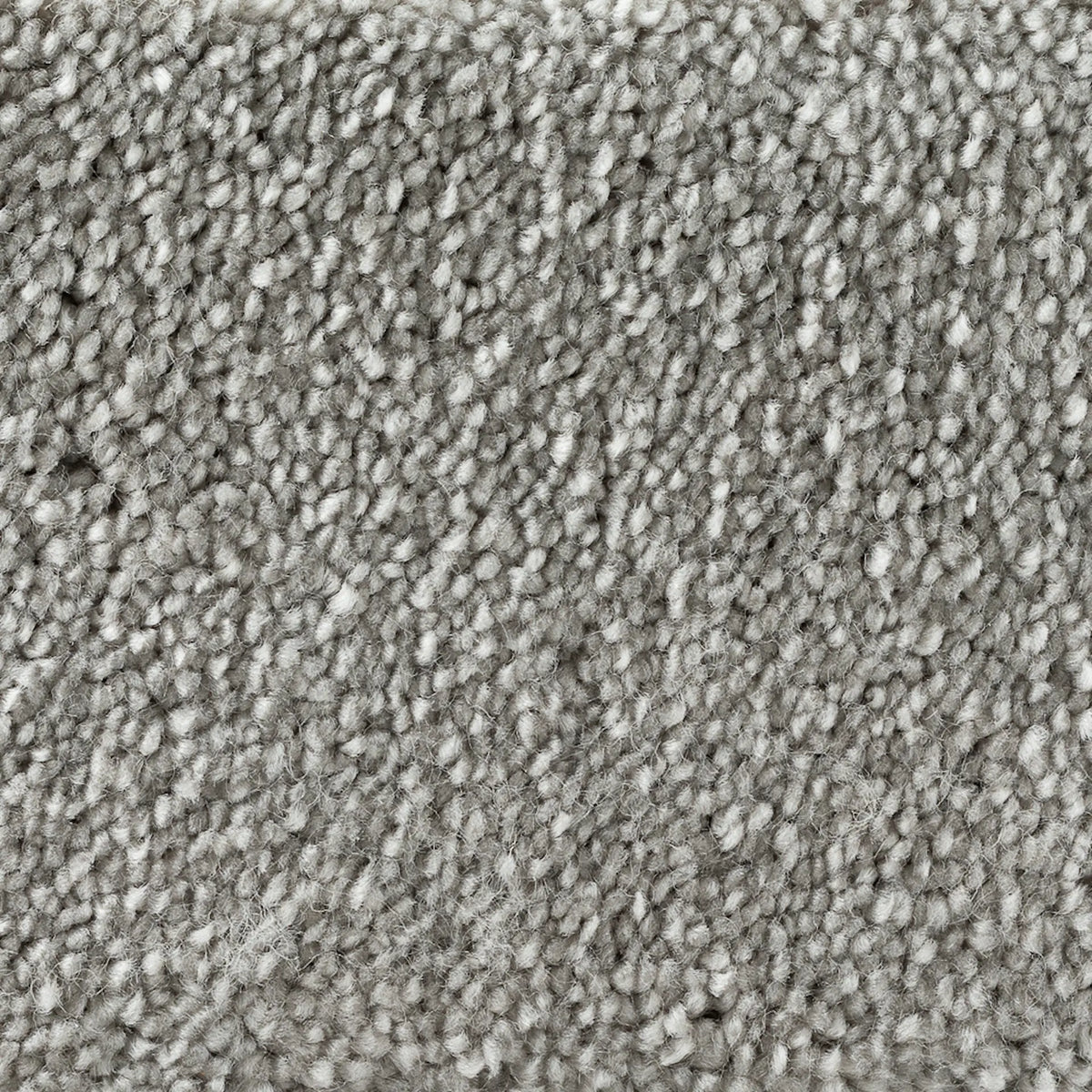 golvabia-cleo-silver