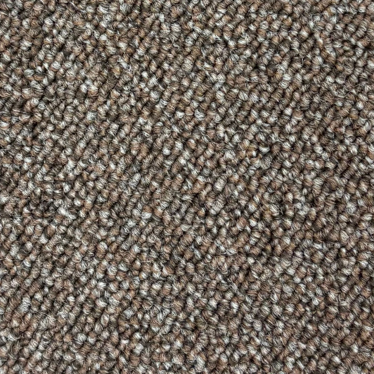 golvabia-cut-loop-brown-245102