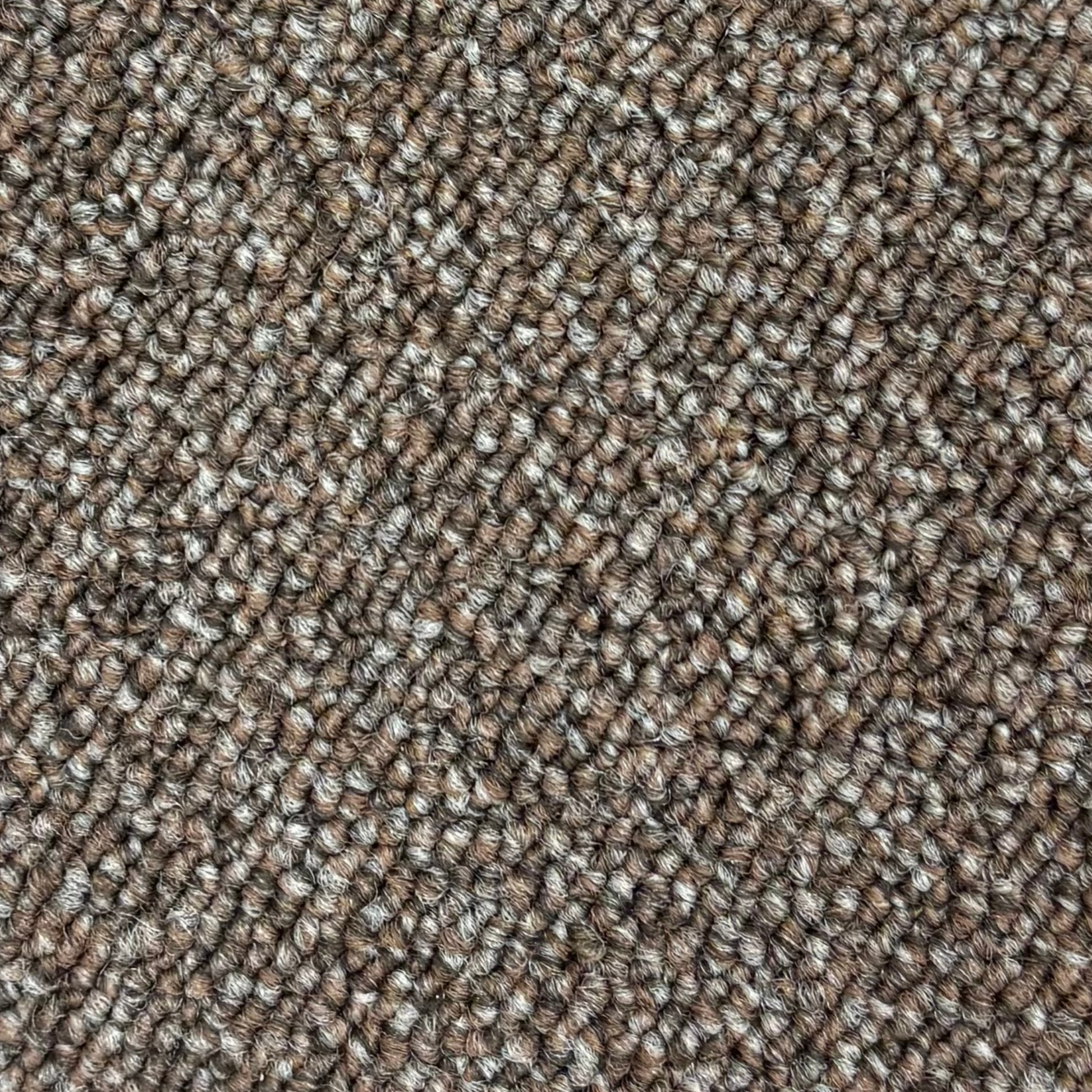 golvabia-cut-loop-brown-245102