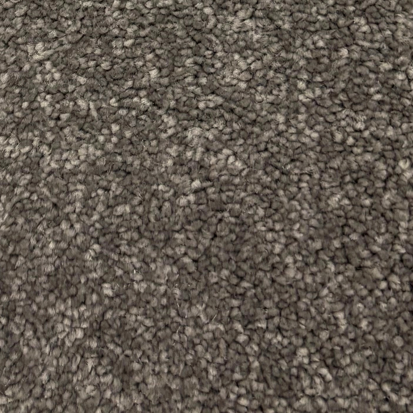 golvabia-cut-velour-taupe-245004