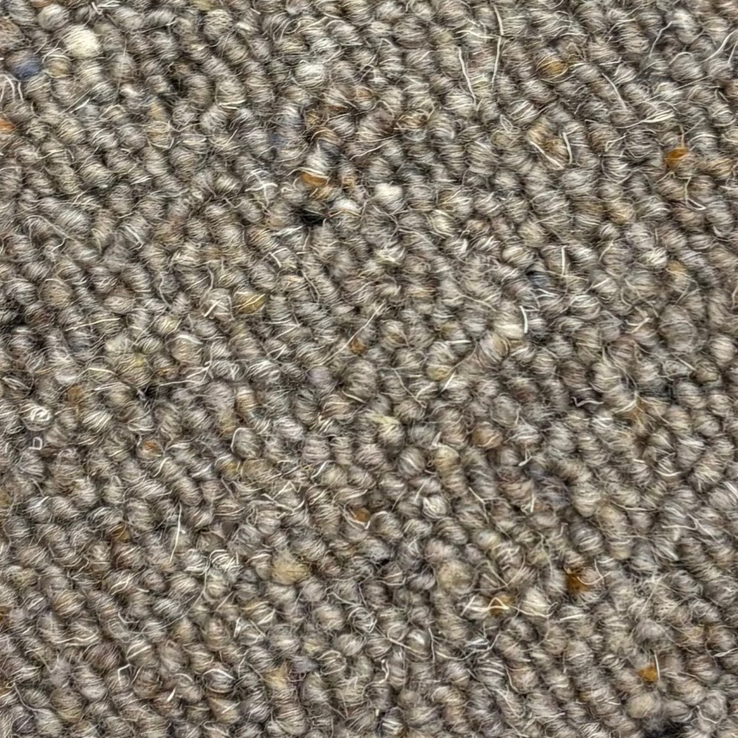 golvabia-cut-wool-brown-245203