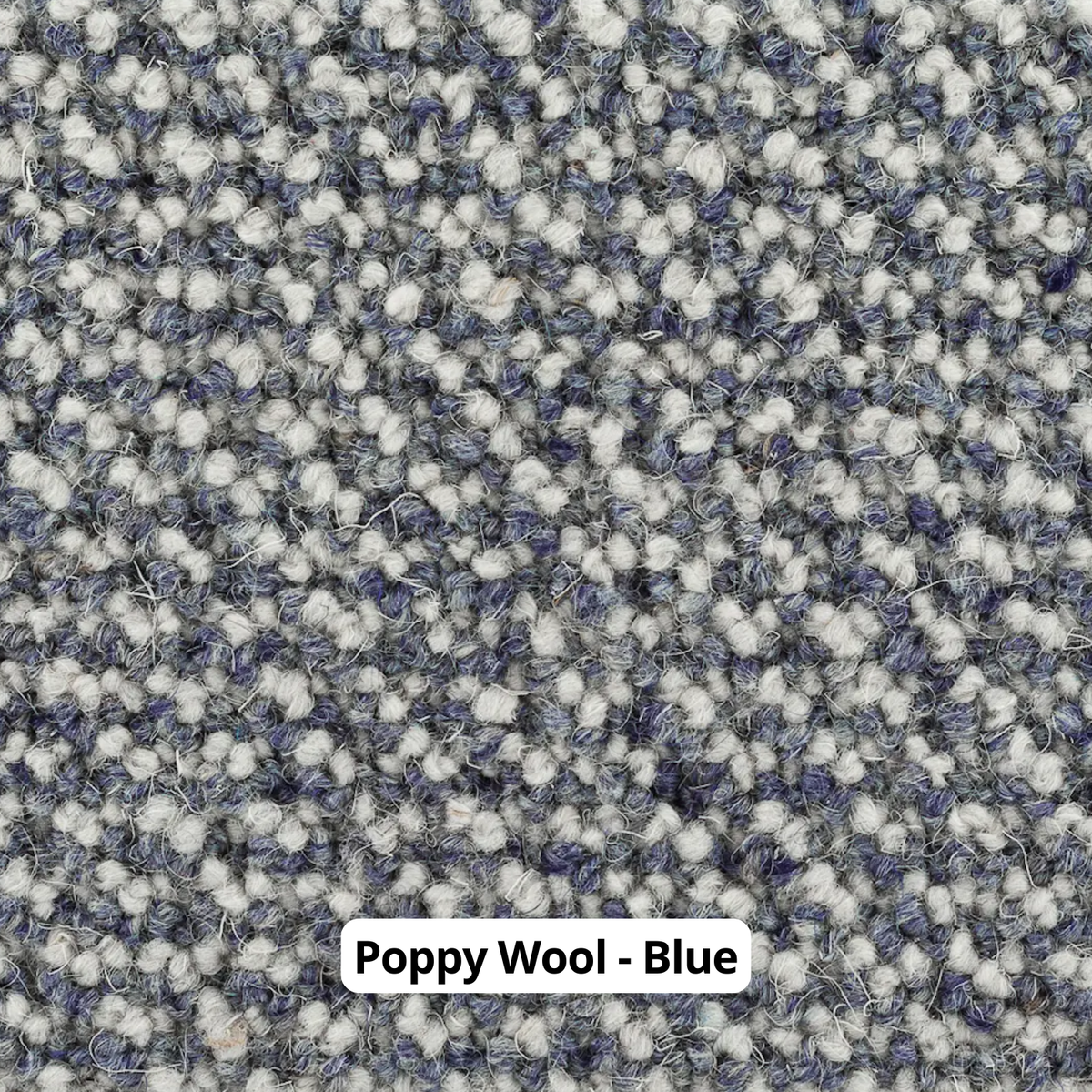 golvabia-poppy-wool-blue