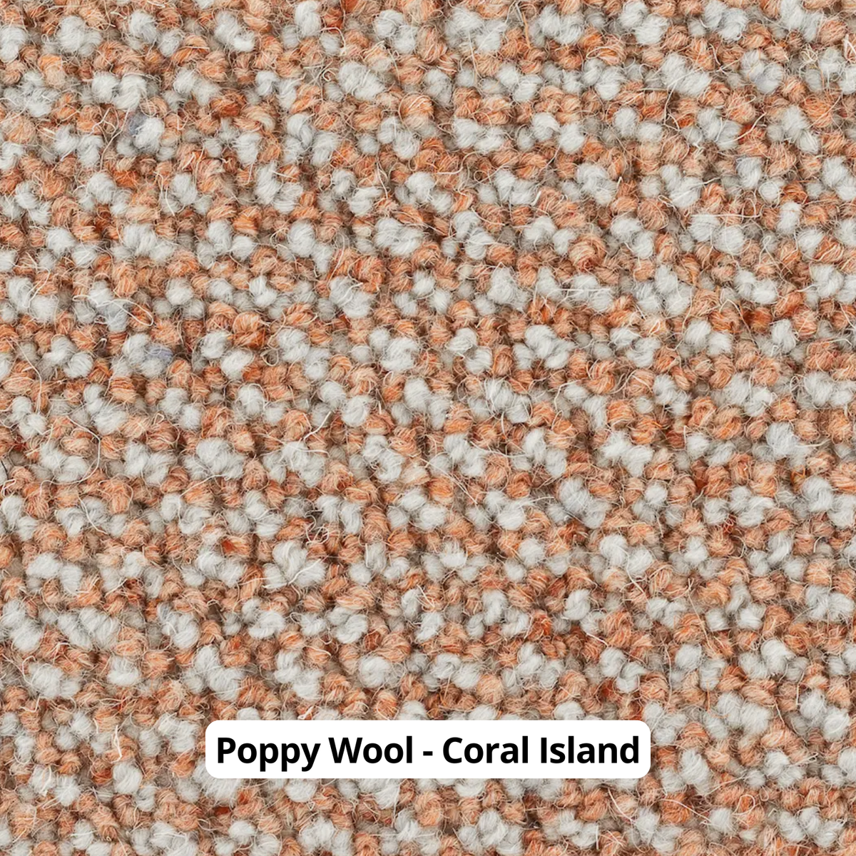 golvabia-poppy-wool-coral-island
