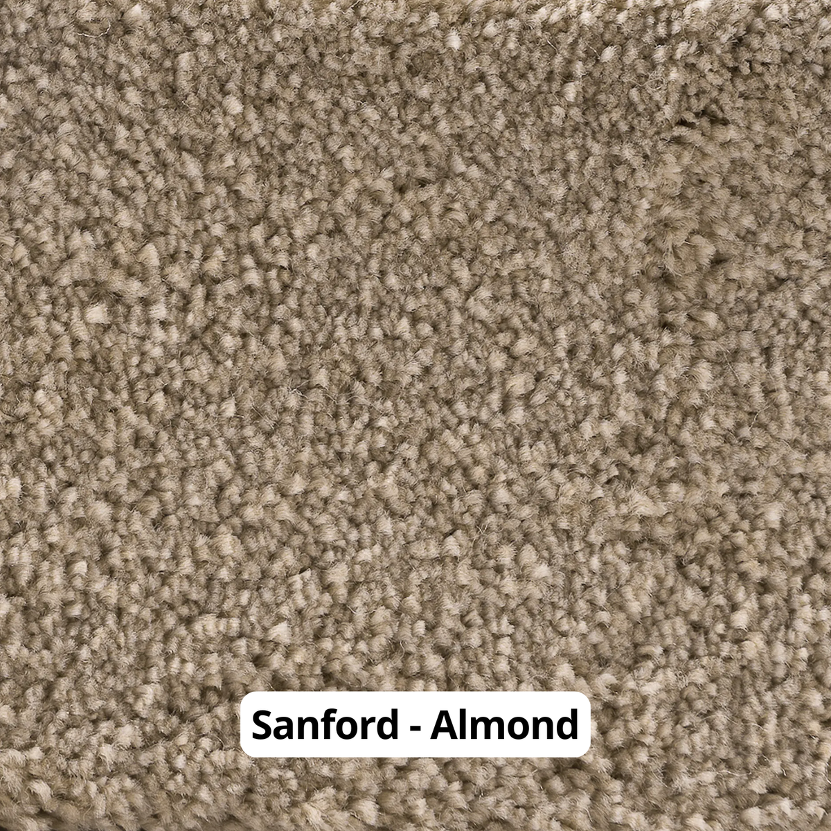golvabia-sanford-almond