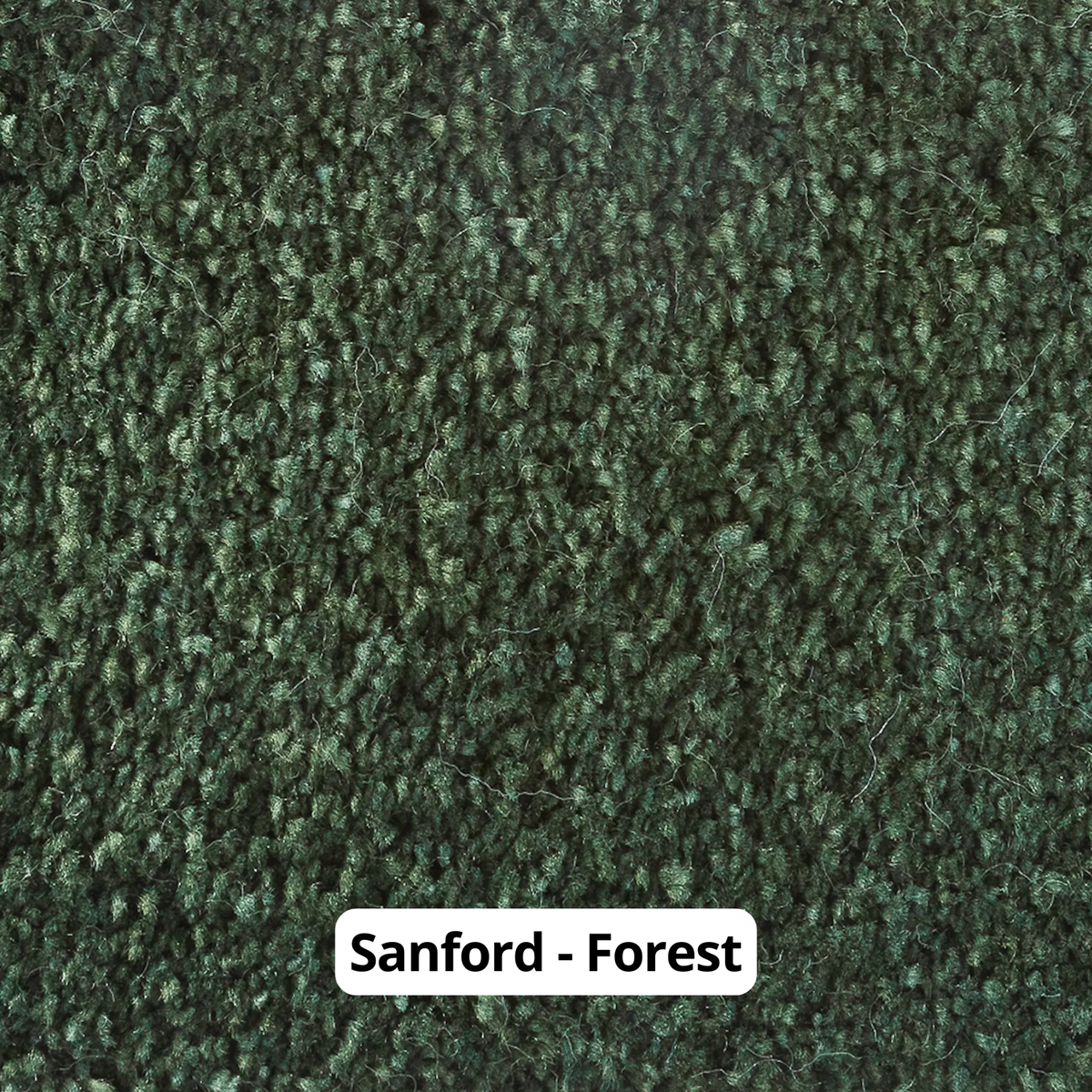 golvabia-sanford-forest