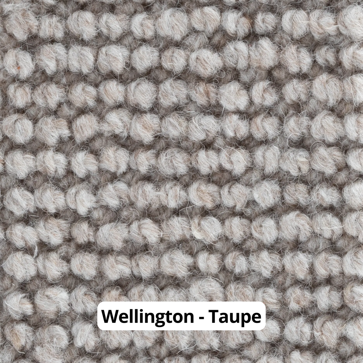 golvabia-wellington-taupe