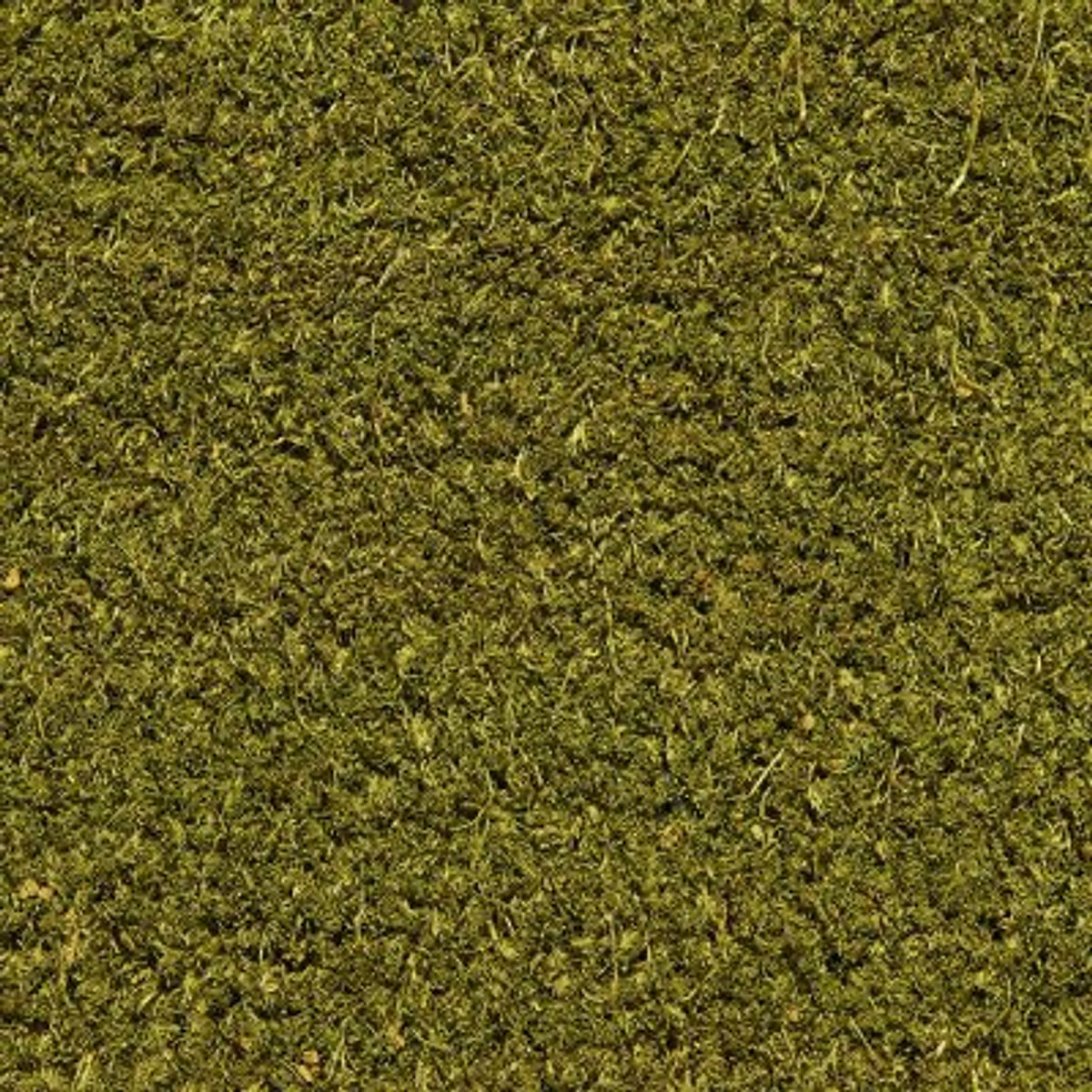 gron-68b1a3341846807bd7ec128d_686b8ef3421d7380e59b158d_Gr_2525C3_2525B6n