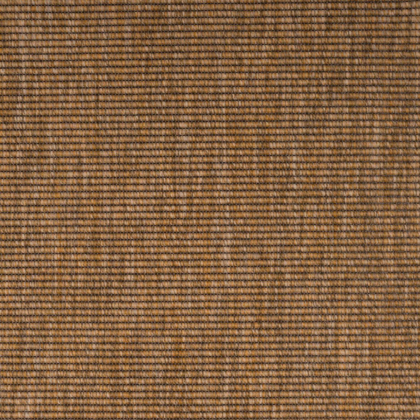 honey-boucle-67-14-131