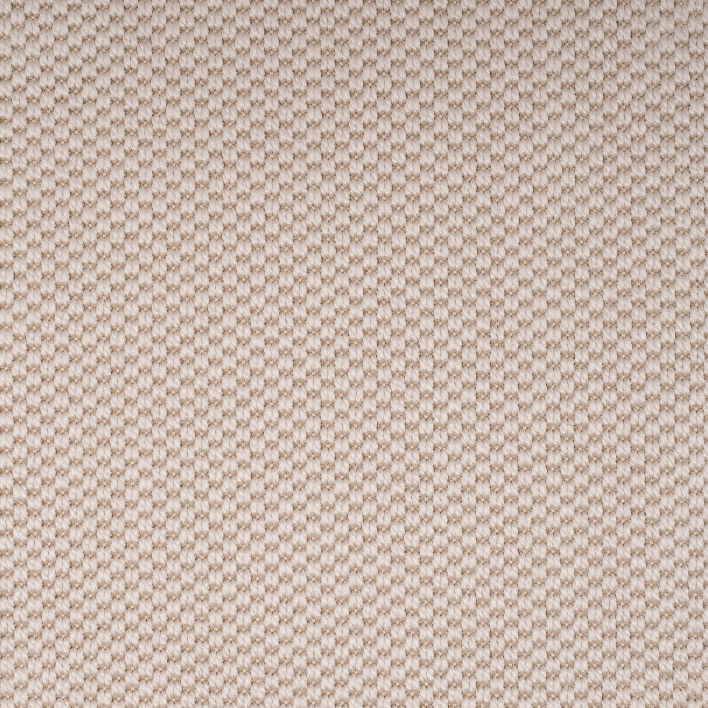 PANAMA-ivory3202