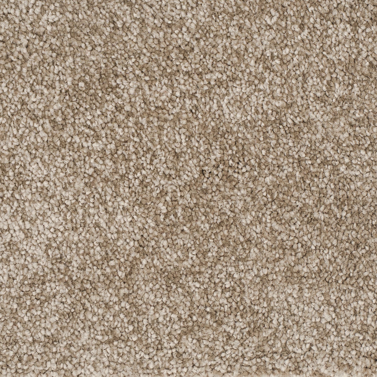 jazz-latte-72