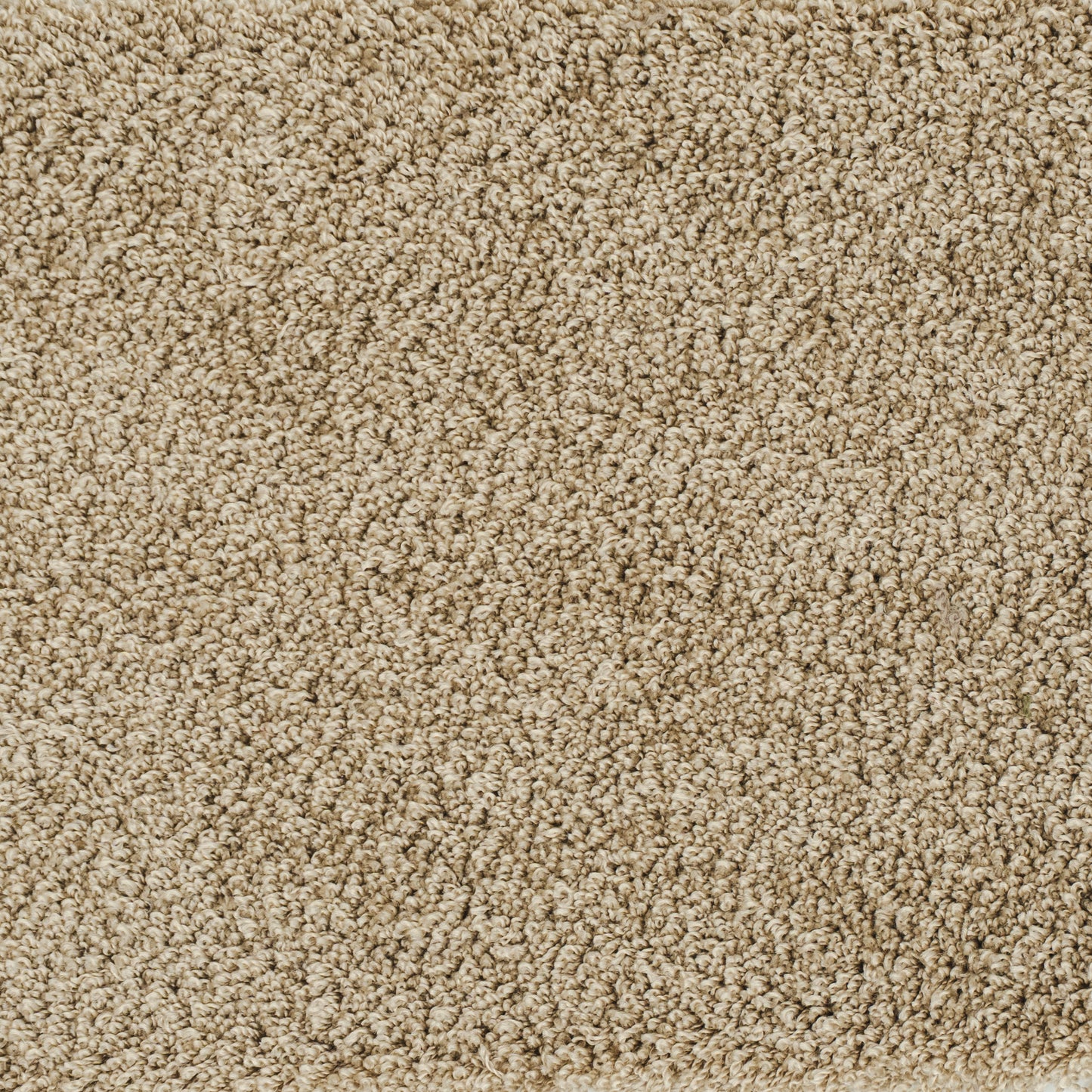 kashmir-beige-38