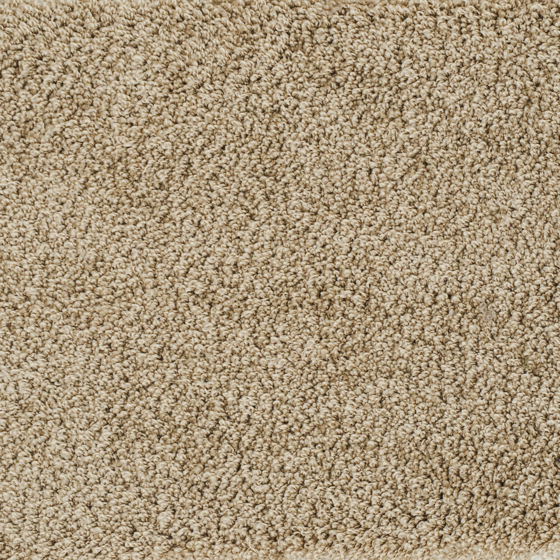 kashmir-beige-38