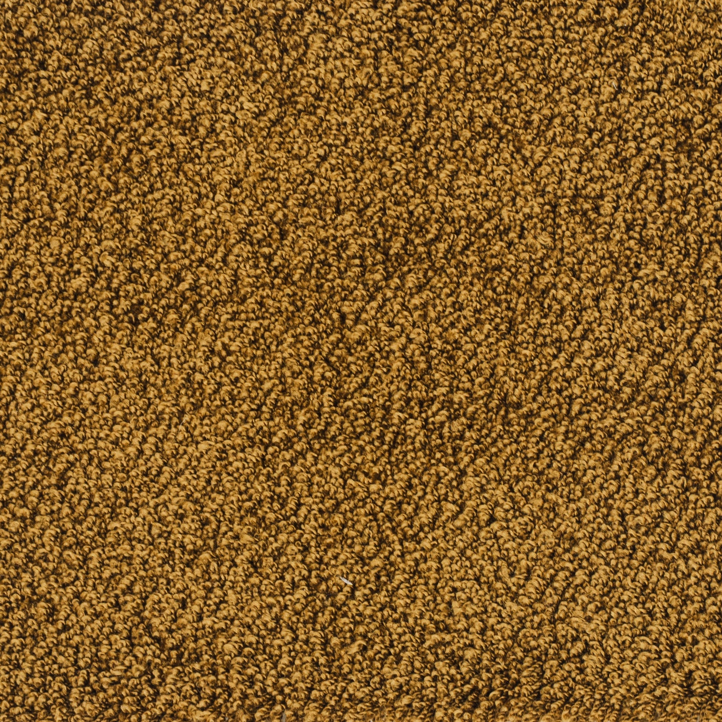 kashmir-rost-54
