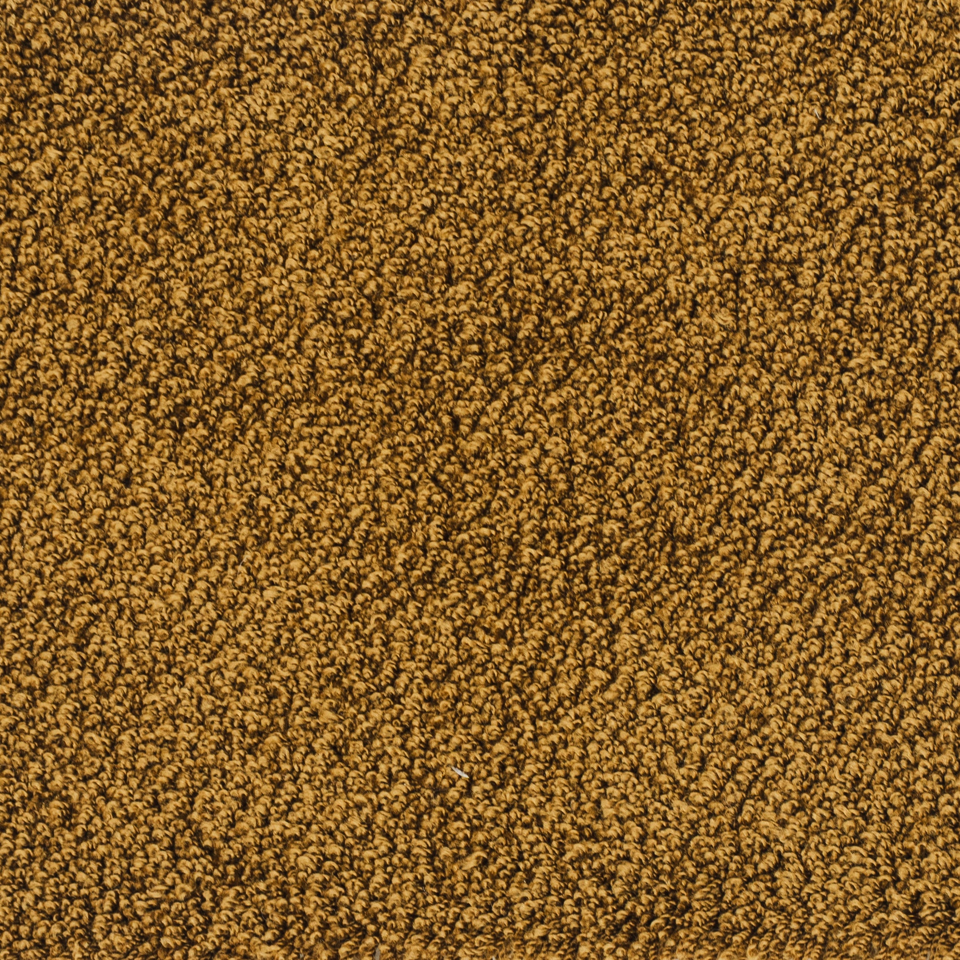 kashmir-rost-54