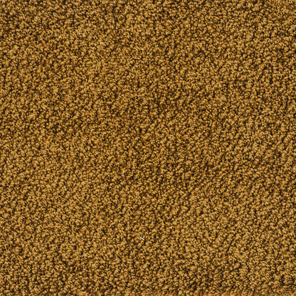 kashmir-rost-54