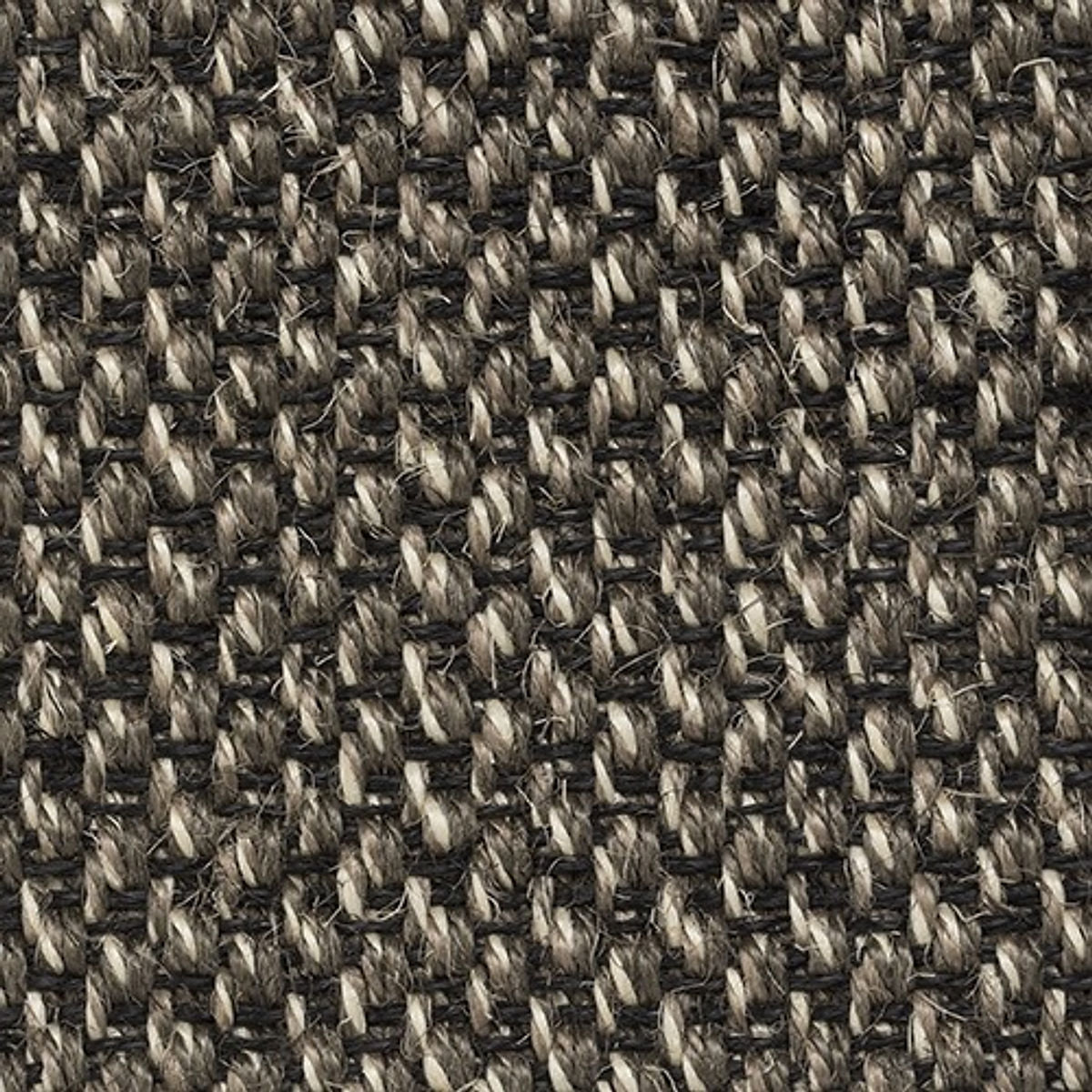 kivu6003_21