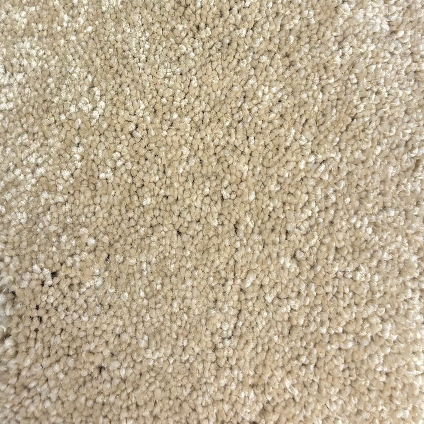 kjellbergs-bentley-sand34