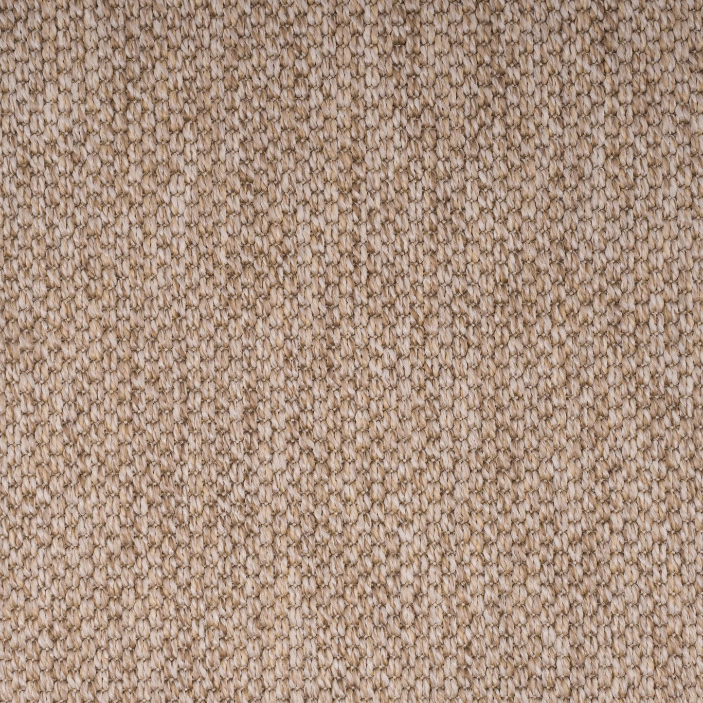 PANAMA-oat3225