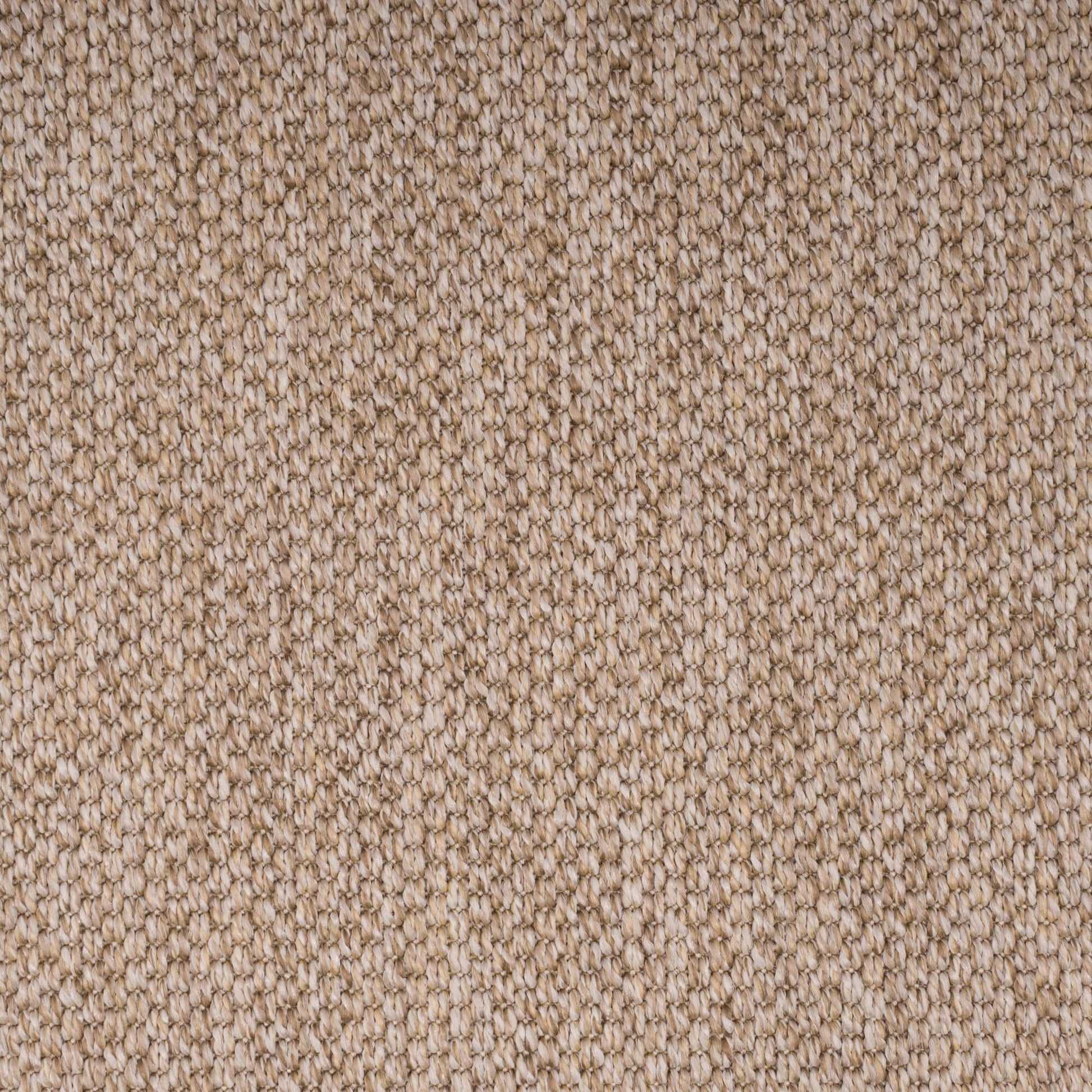 PANAMA-oat3225