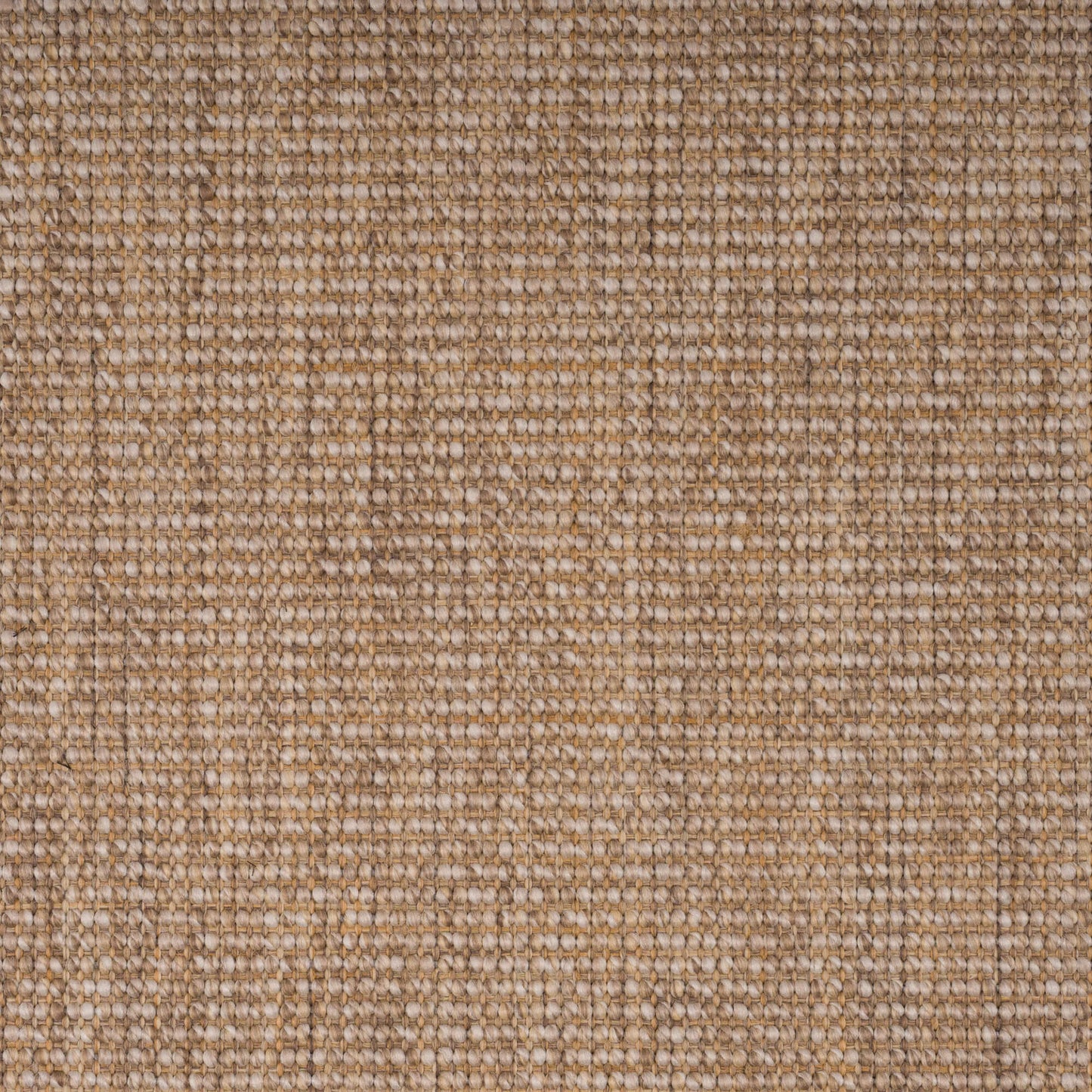 oyster-71-24-15