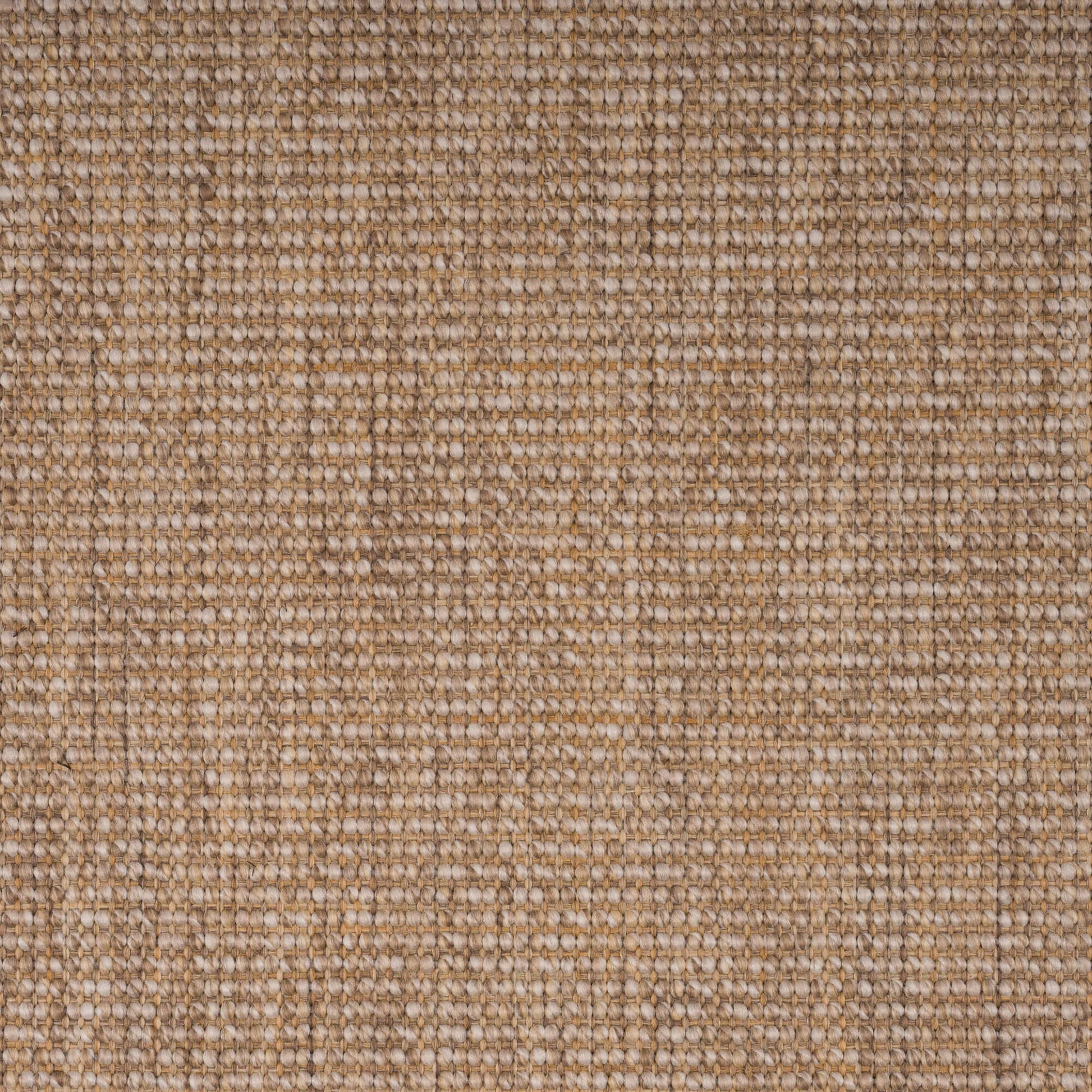 oyster-71-24-15