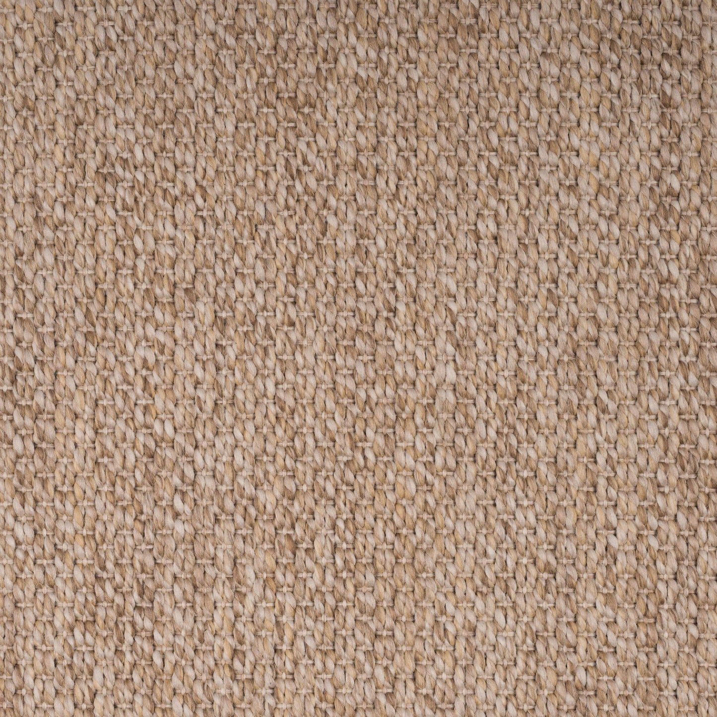 oyster-tigereye-74-24-131