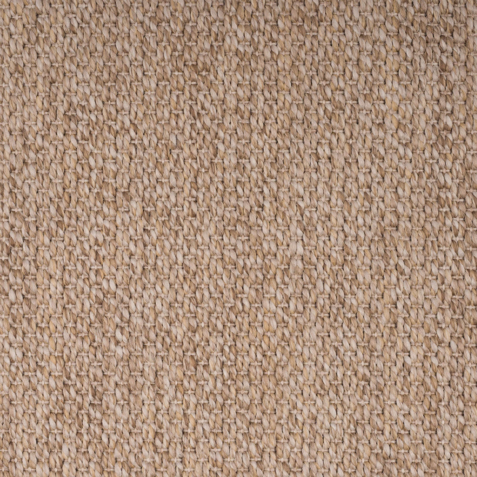 oyster-tigereye-74-24-131