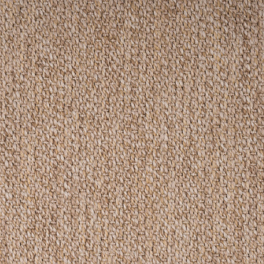 oyster-tigereye-74-24-131