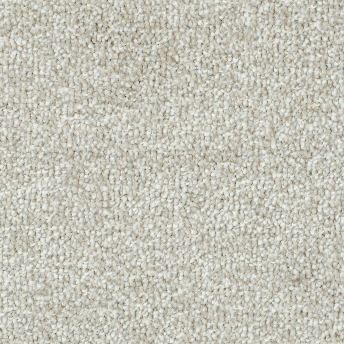 salsa-beige-373