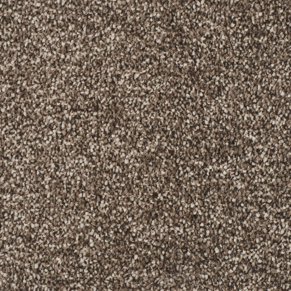 salsa-brun-94