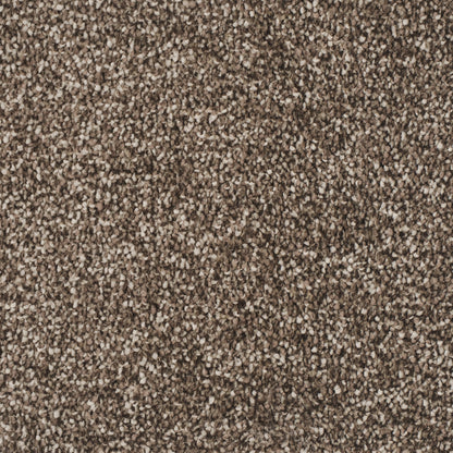 salsa-brun-94