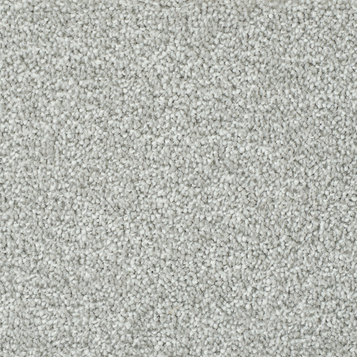 salsa-kitt-274