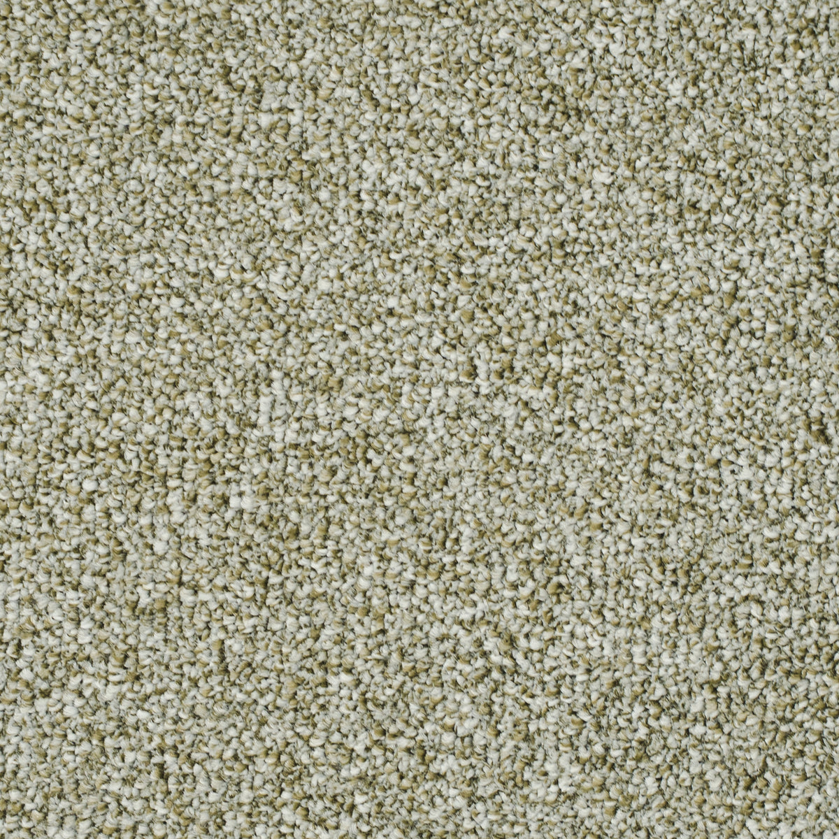 salsa-oliv-40