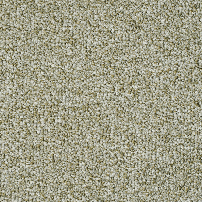 salsa-oliv-40
