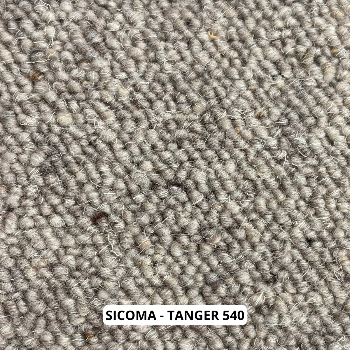 sicoma-tanger-540