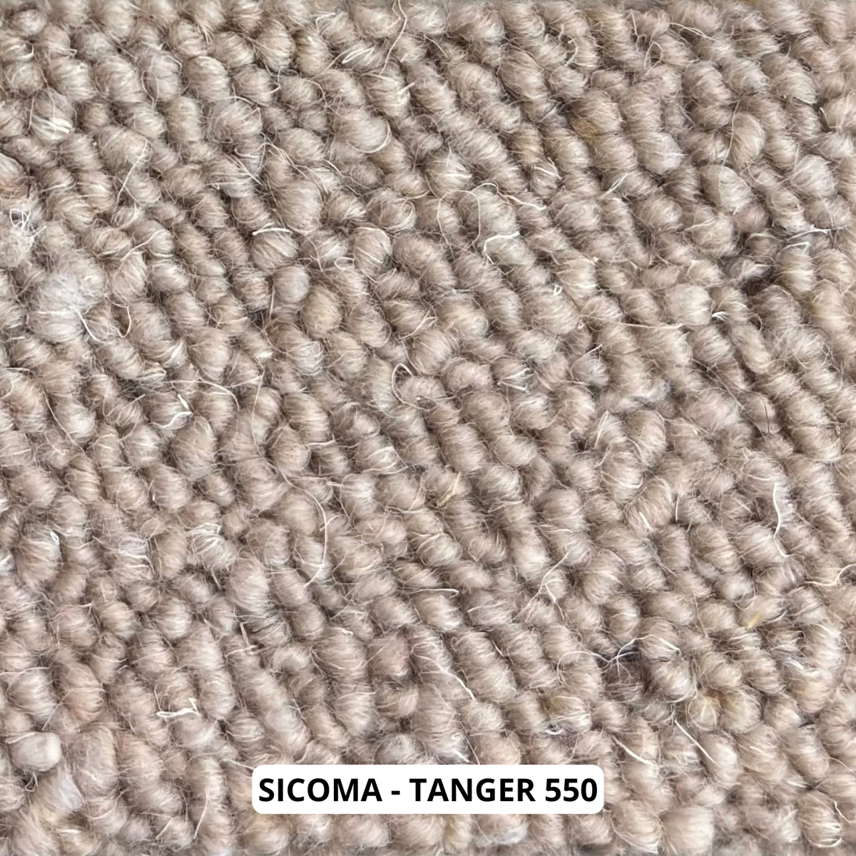 sicoma-tanger-550