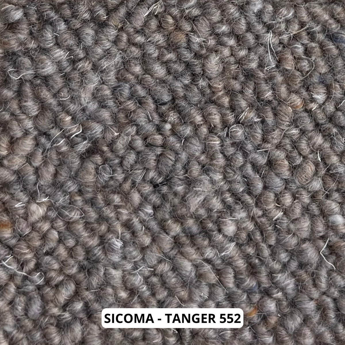 sicoma-tanger-552