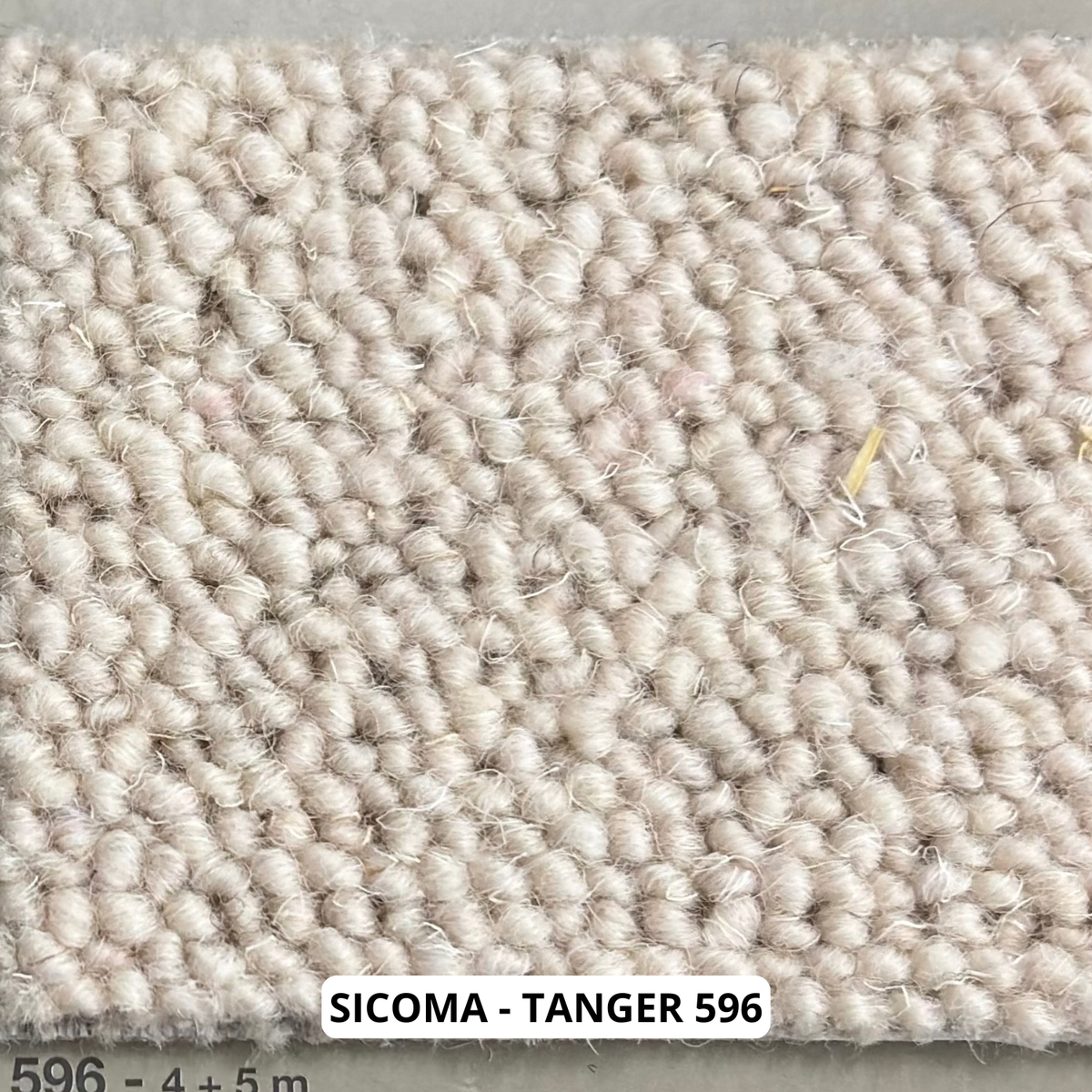 sicoma-tanger-596