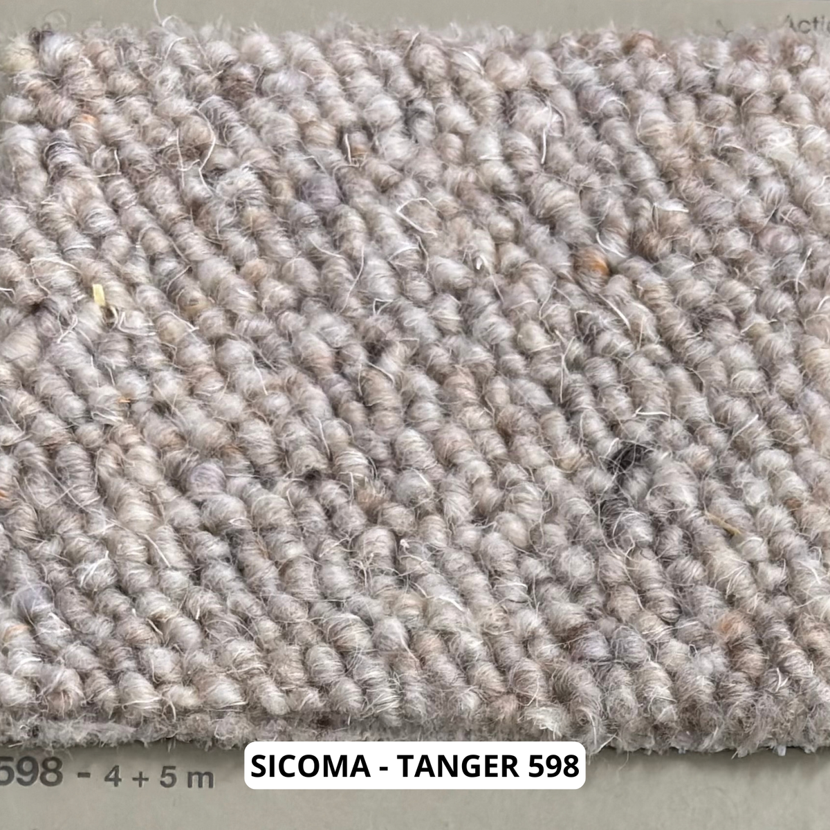 sicoma-tanger-598