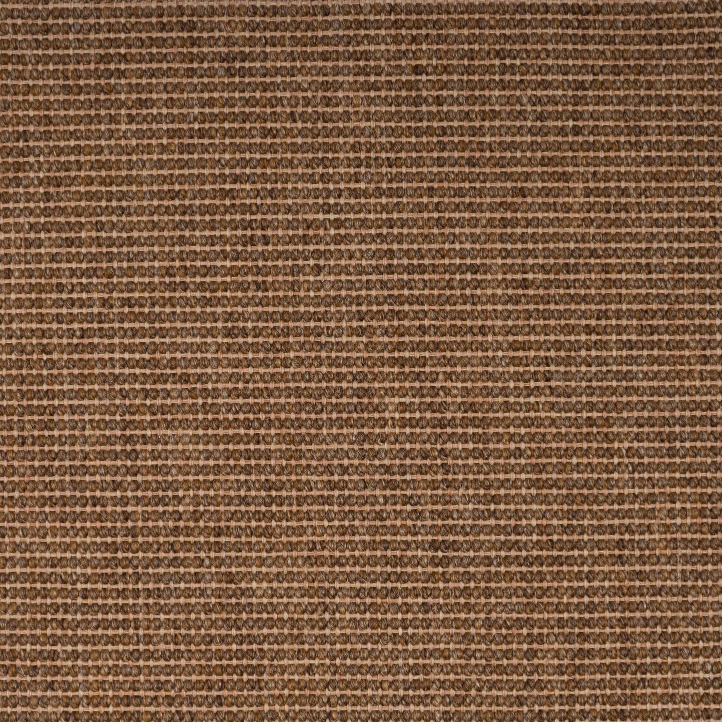walnut-_71-28-25