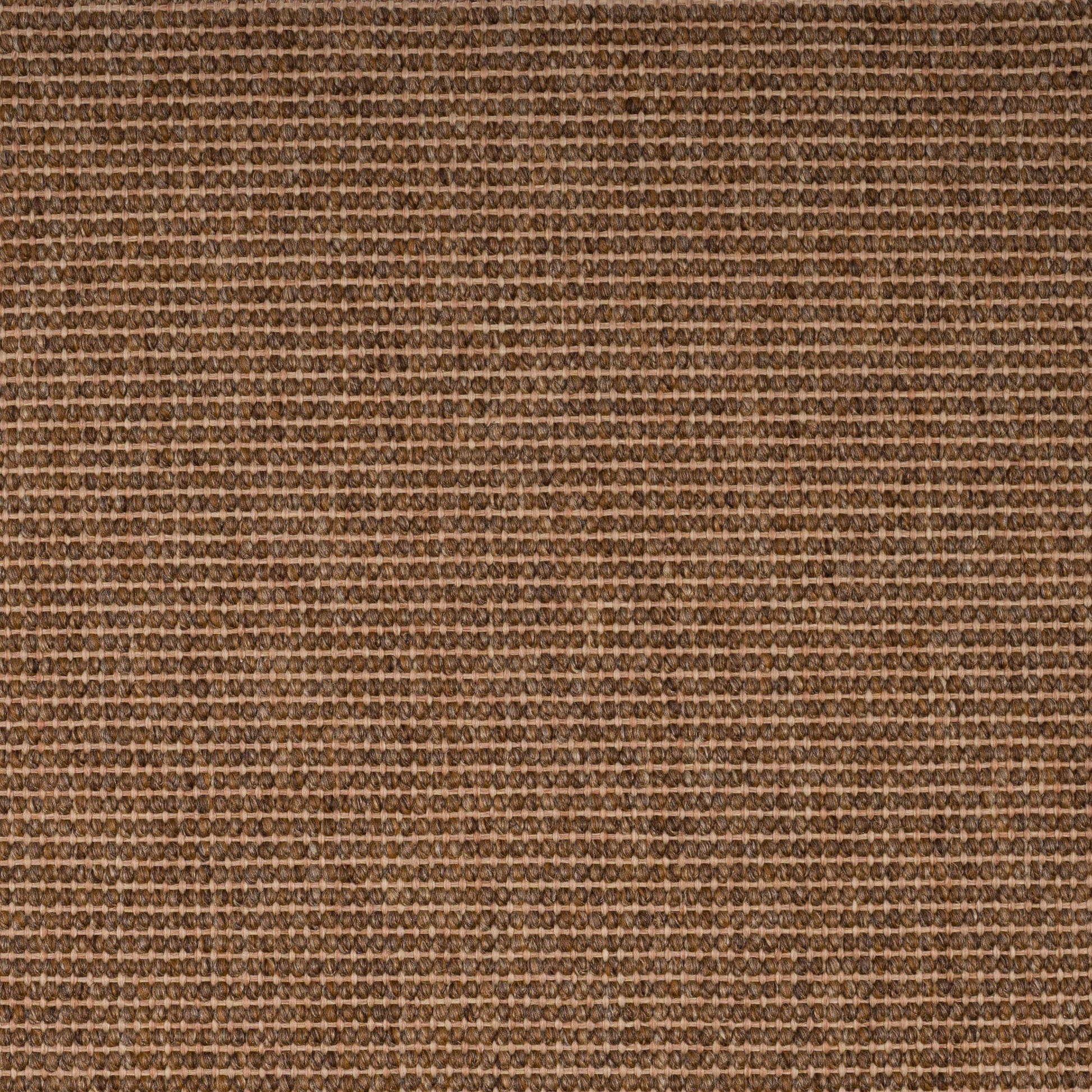 walnut-_71-28-25