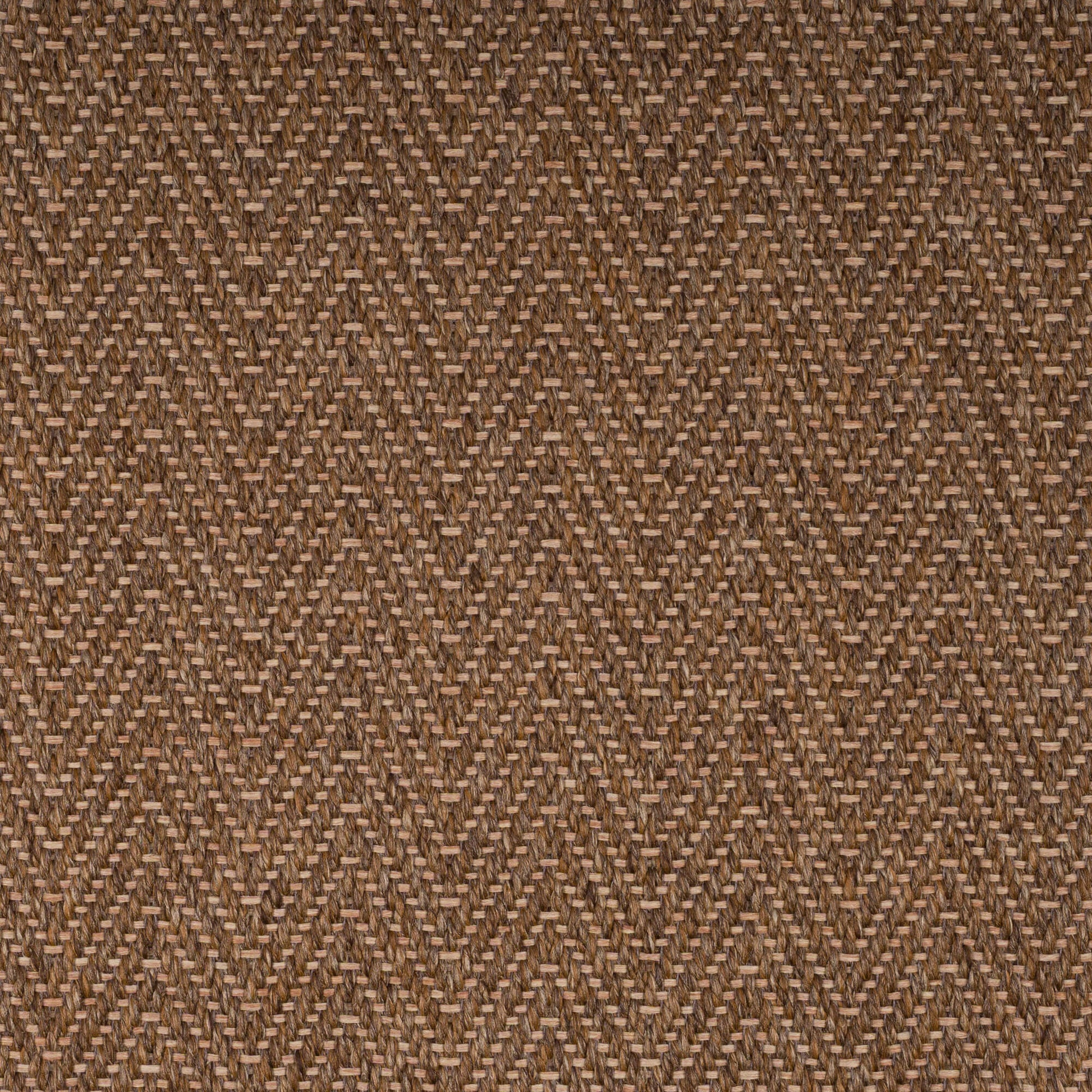 walnut_73-28-25_top
