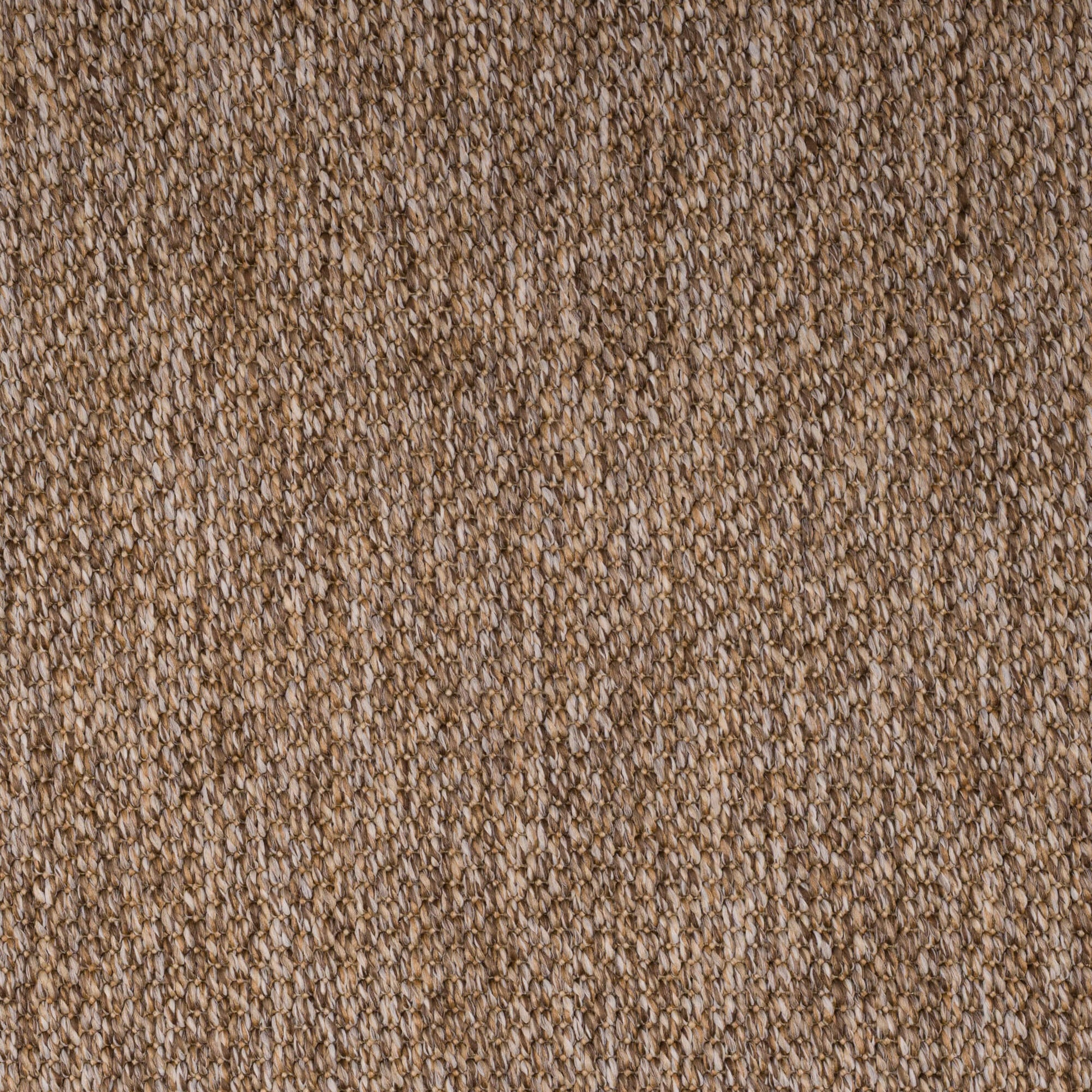 PANAMA-warm-brown-3228